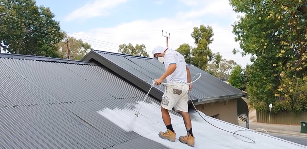 Professional Roof Painting
