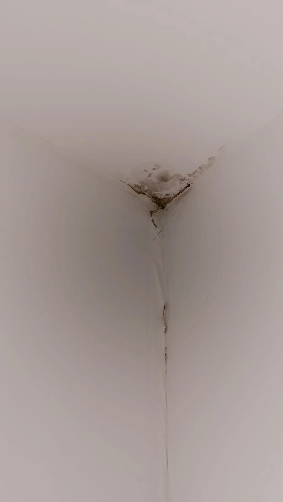 Peeling paint repair by SA Prep and Paint in Adelaide