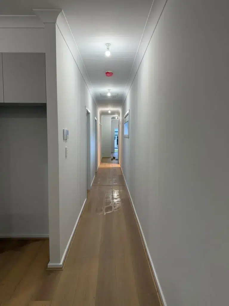 Professional Wall Painting