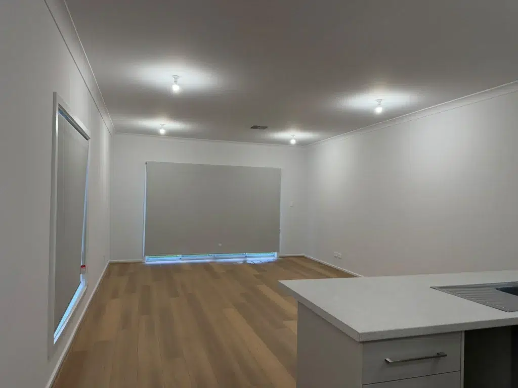 Professional Wall Painting