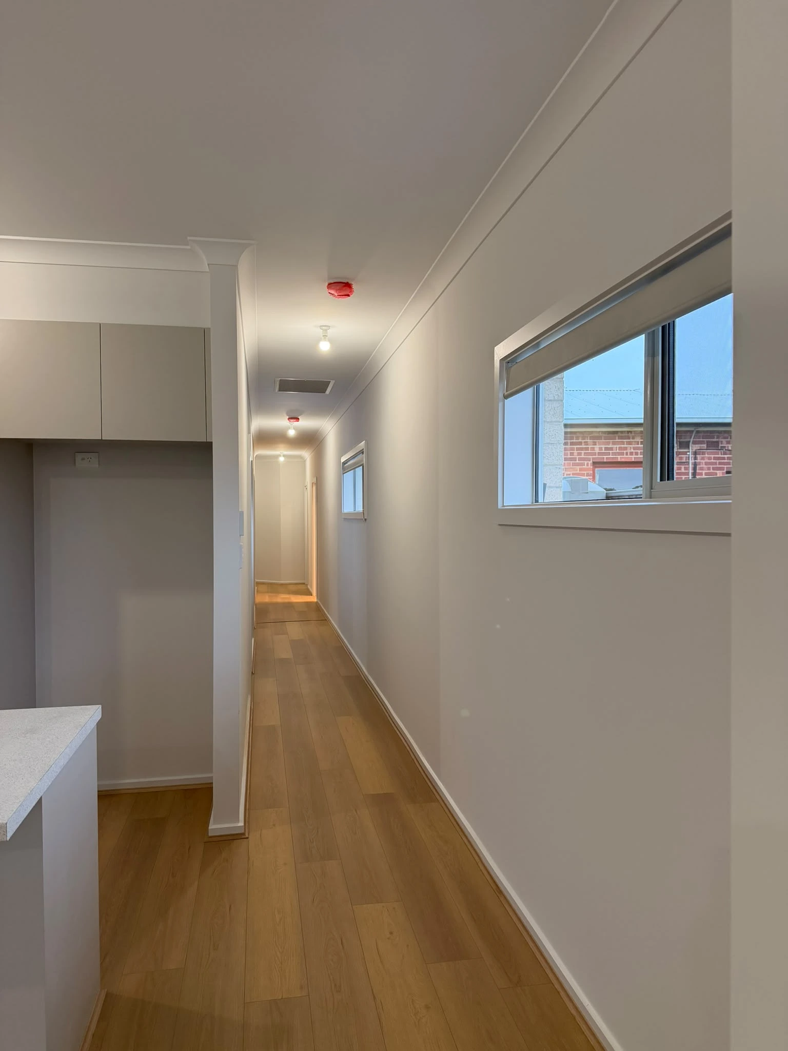 Fresh plaster may require suitable sealing or priming before finish paint.