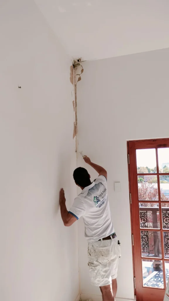 Professional house painters working on a residential property in Adelaide