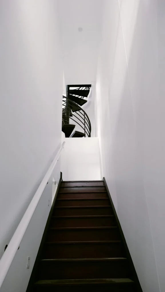 Painter applying fresh paint to an interior wall in Adelaide