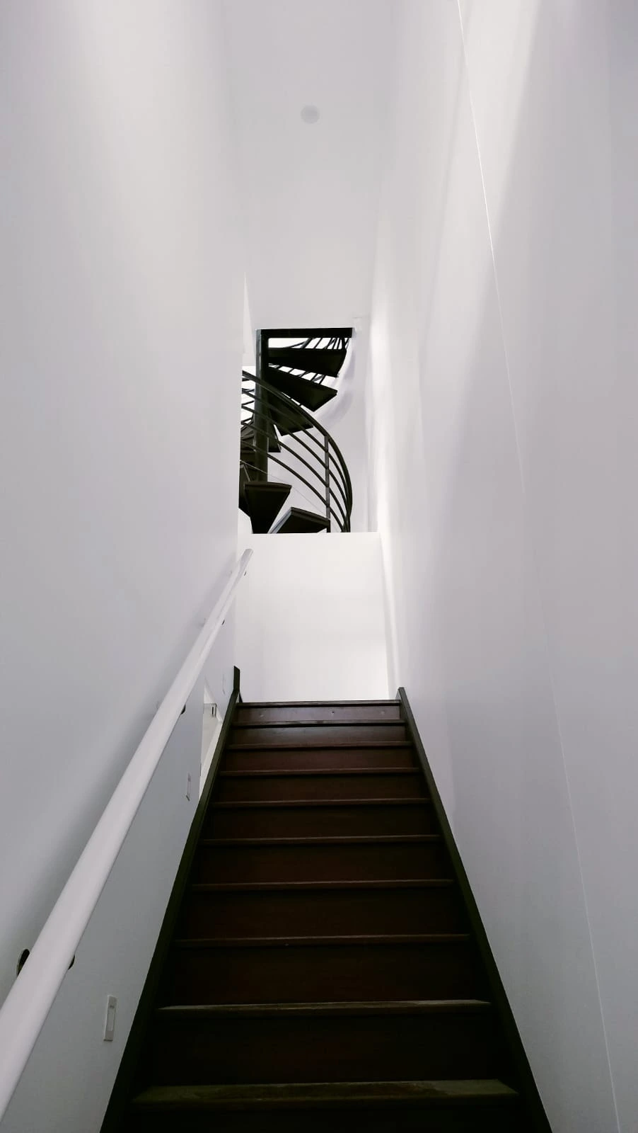 Fresh interior wall painting by professional Adelaide painters